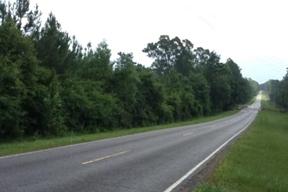 greene county ms road